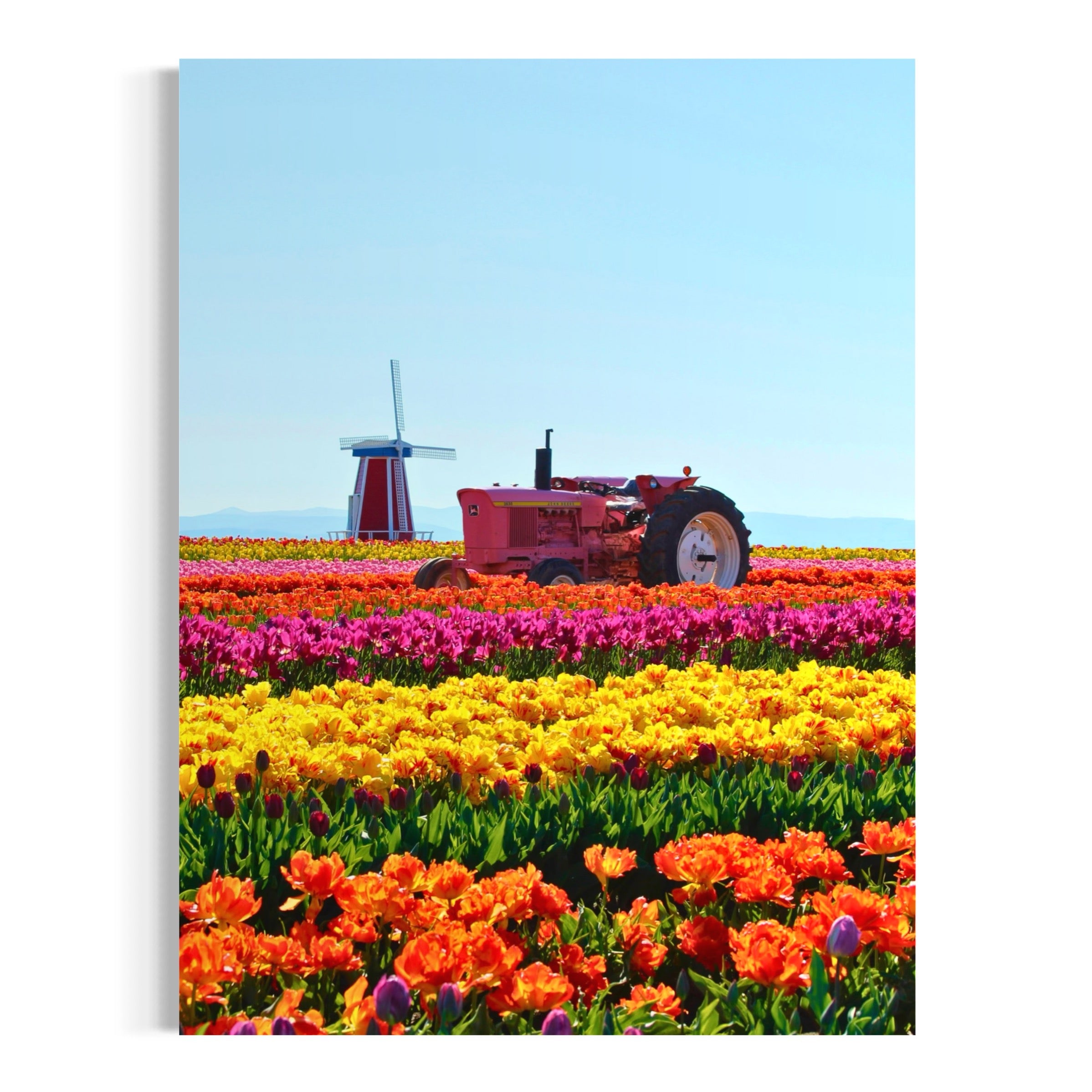 Spring in the Netherlands - Moderno Wall Art Wall Art