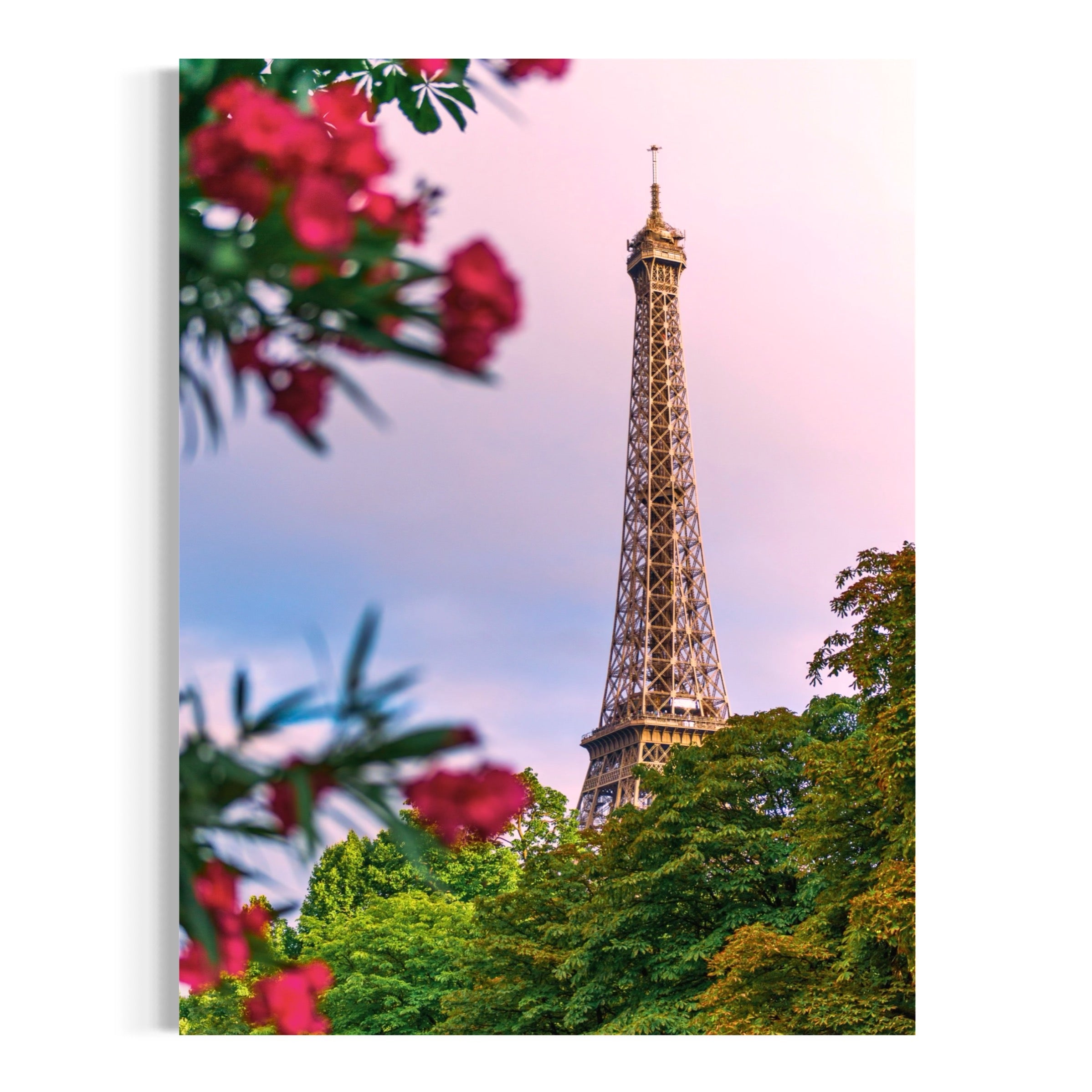 Paris in Bloom - Moderno Wall Art Wall Art