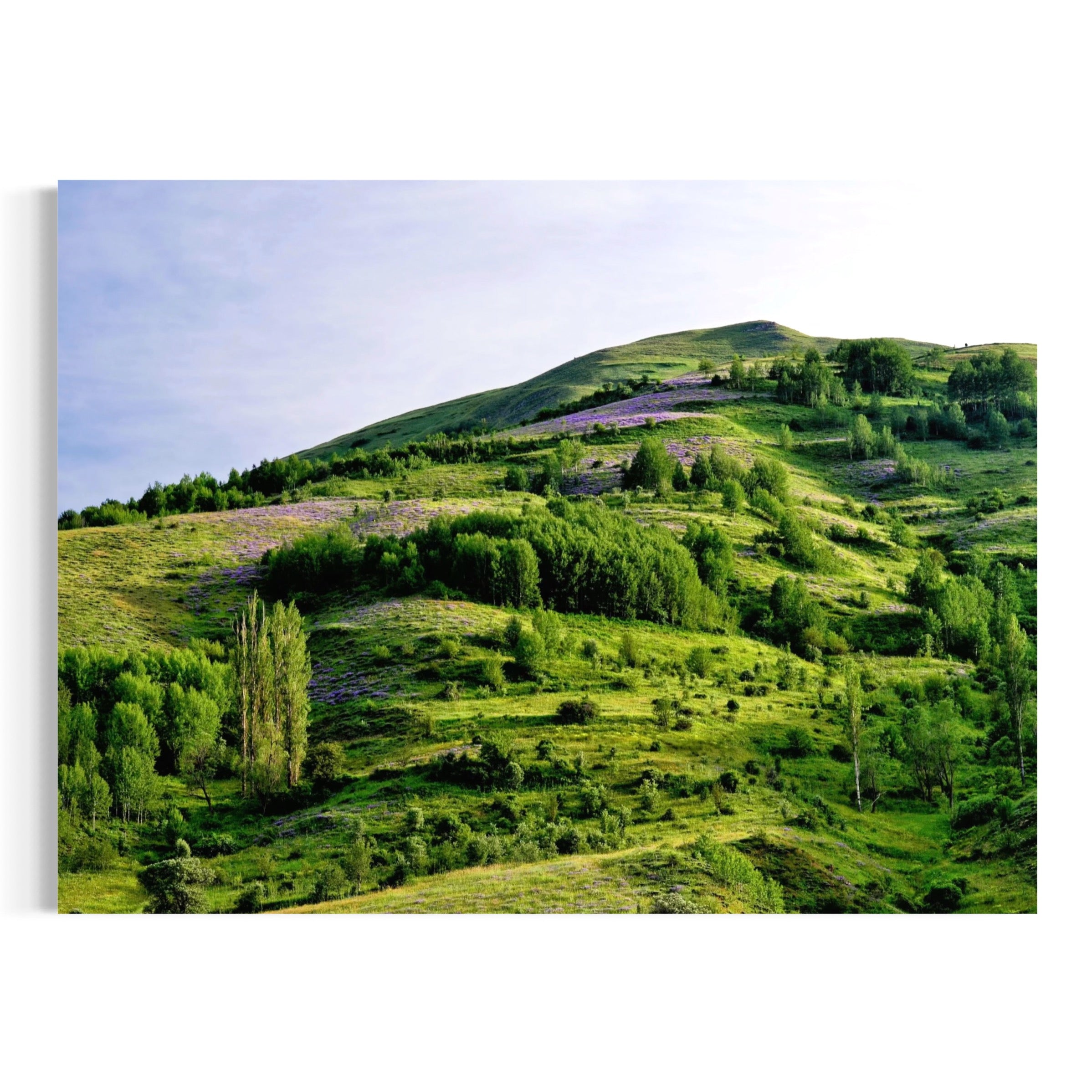 Lush Hillside - Moderno Wall Art Wall Art