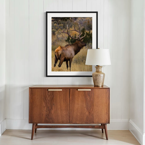 Regal Stance - Moderno Wall Art Wall Art Poster / No Frame / 5" x 7"