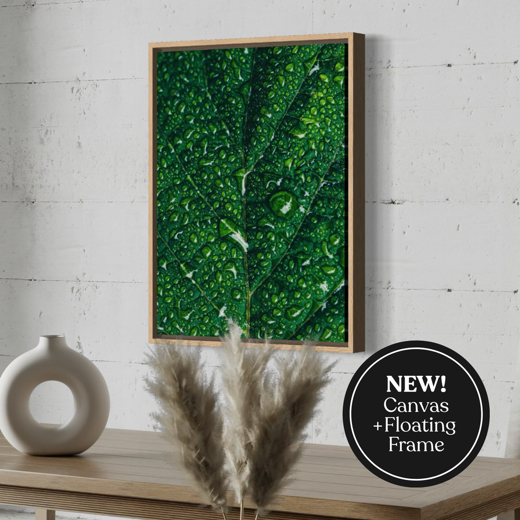 Dew-Kissed Green