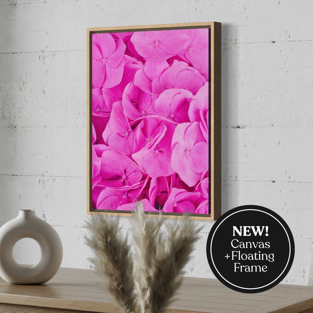 Pink Hydrangea in Detail