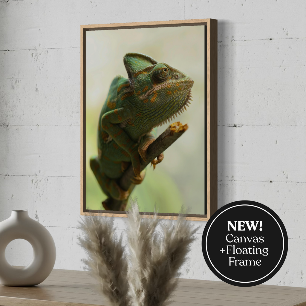 Chameleon in Stillness