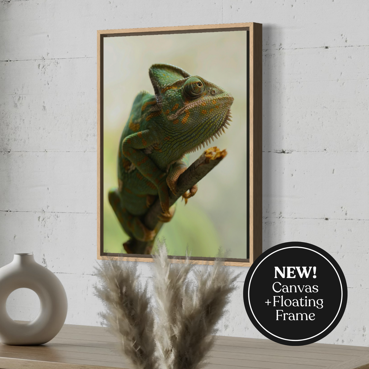 Chameleon in Stillness