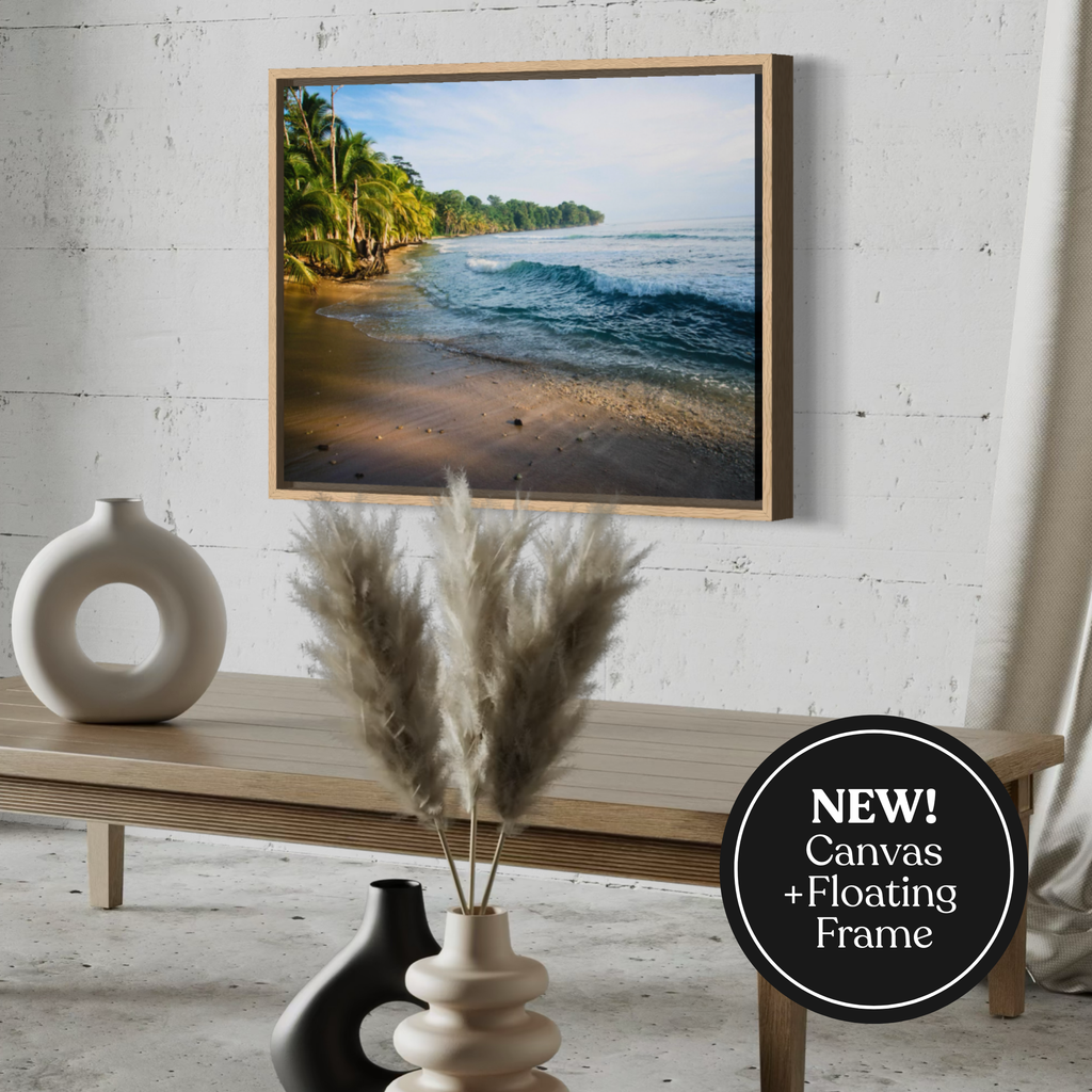 Tropical Shoreline