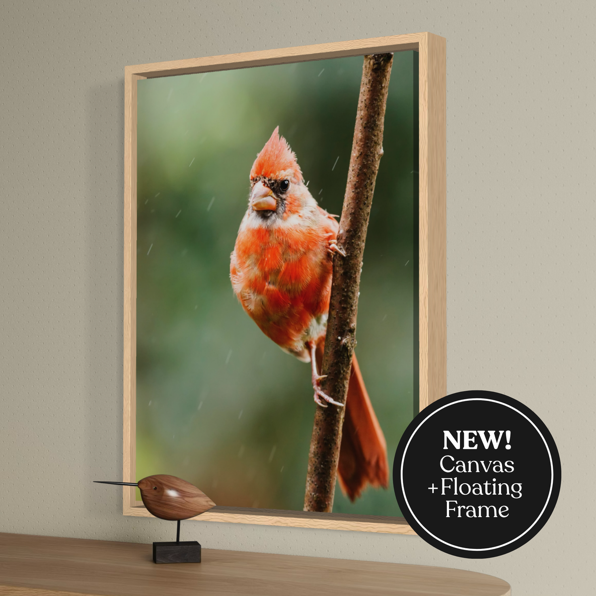 Northern Cardinal I