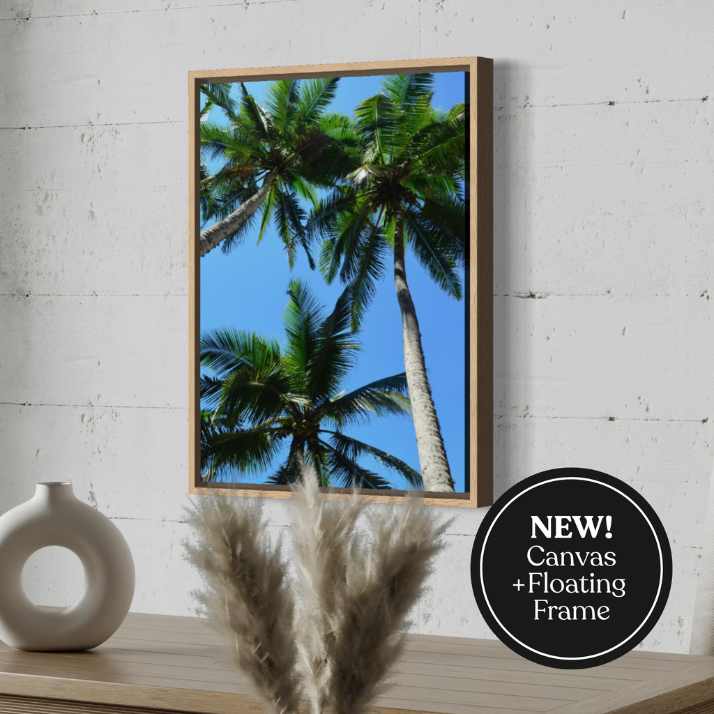 Coconut Canopy