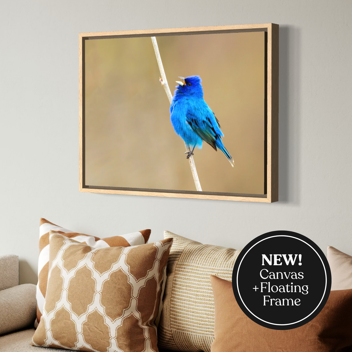 Indigo Perch