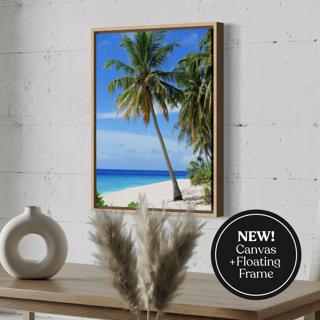 Tranquil Tropics