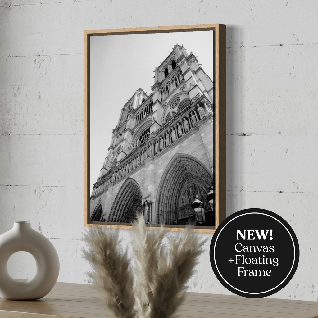 Notre Dame Rising