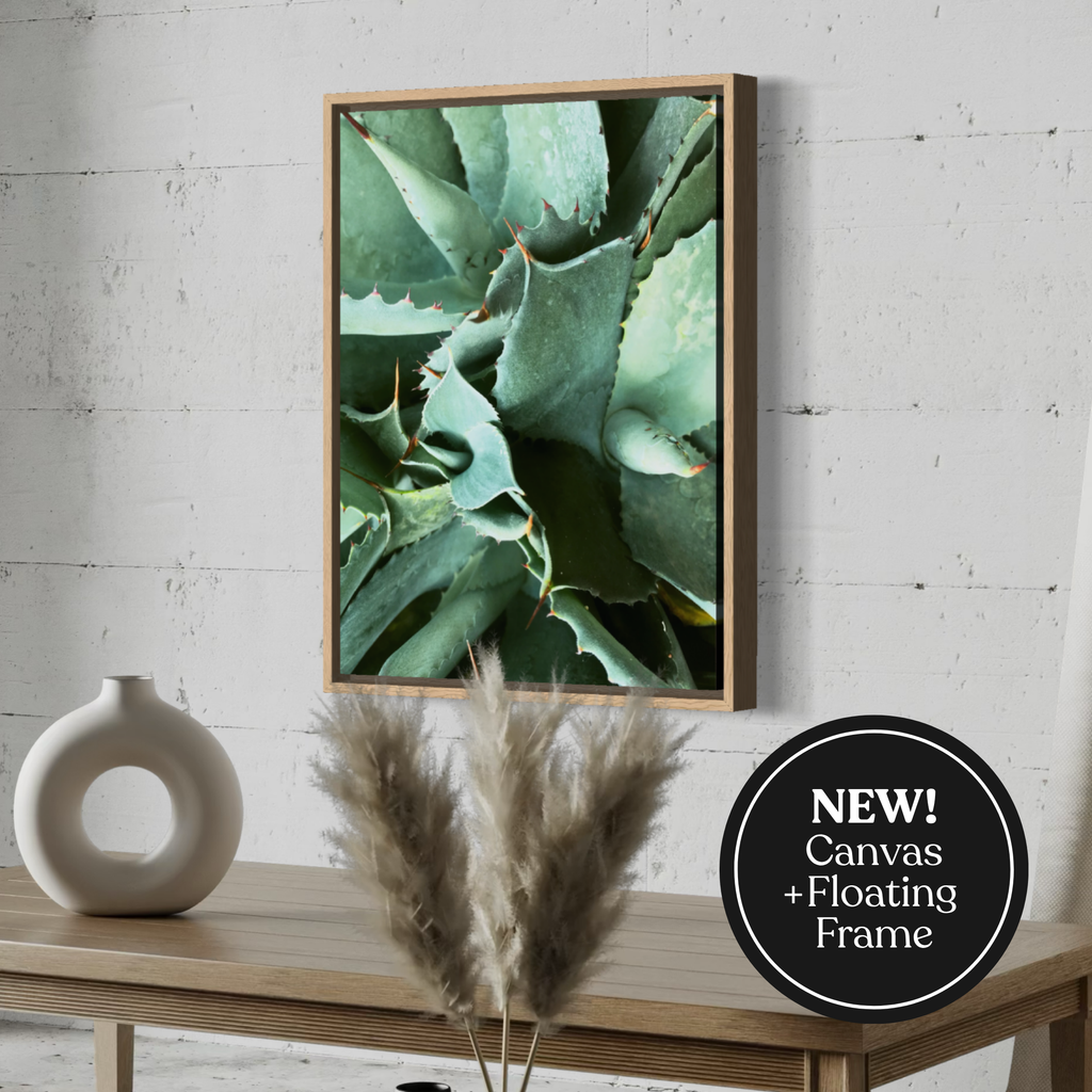Agave in Detail