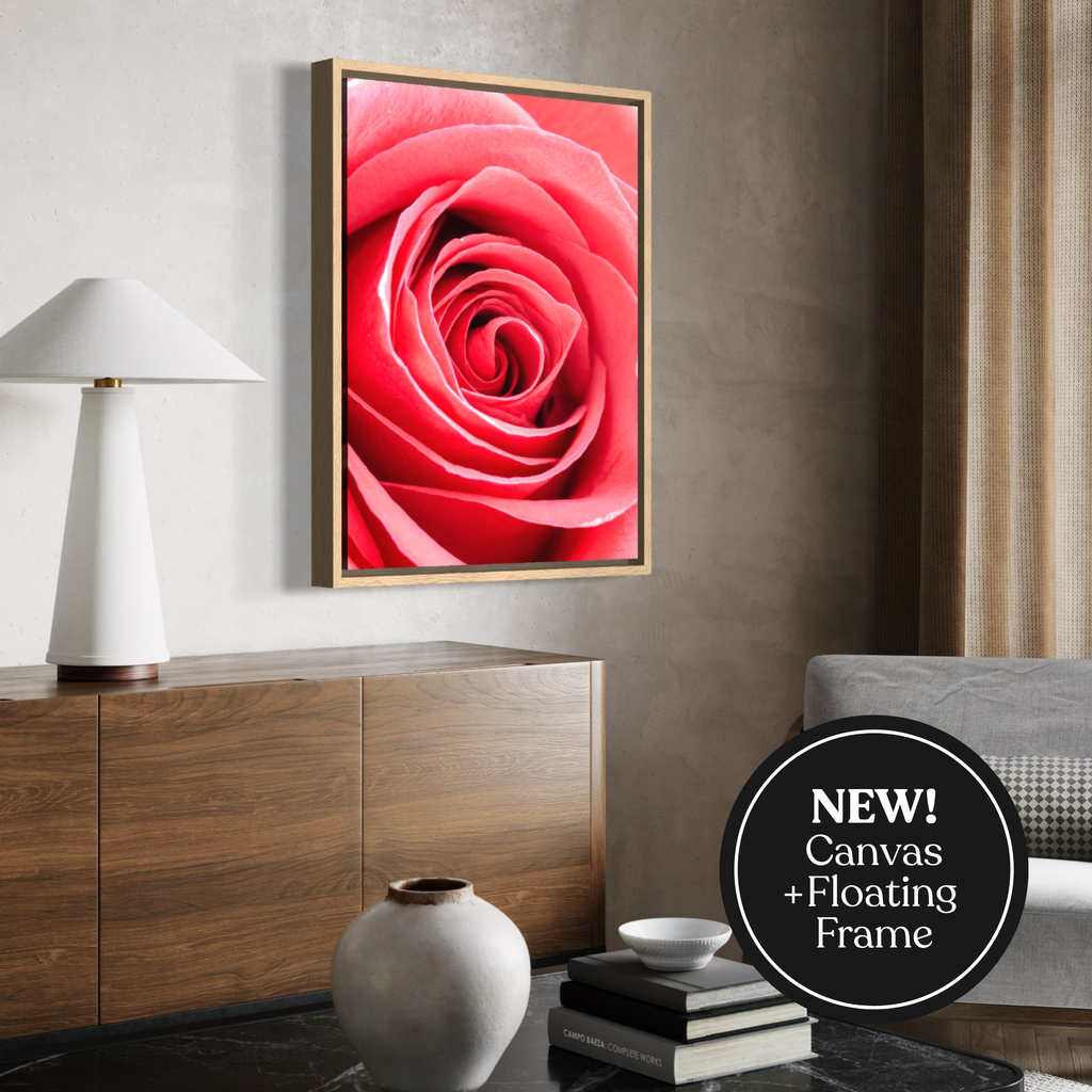Espiral rosa