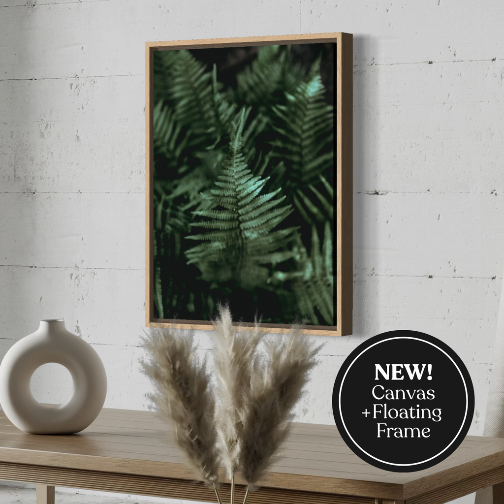 Shadowed Ferns