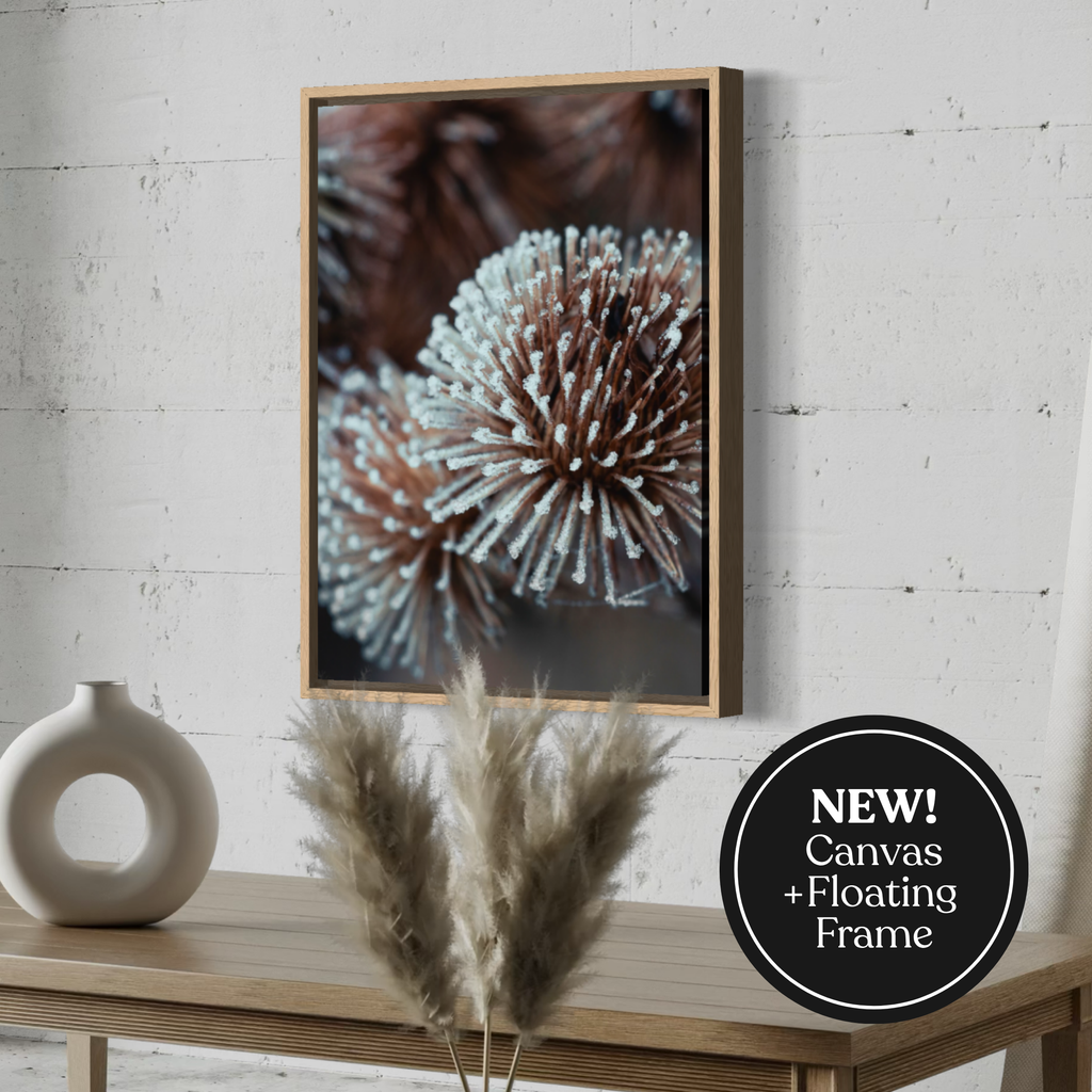 Dried Globe Thistle