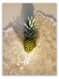 Pineapple Ashore