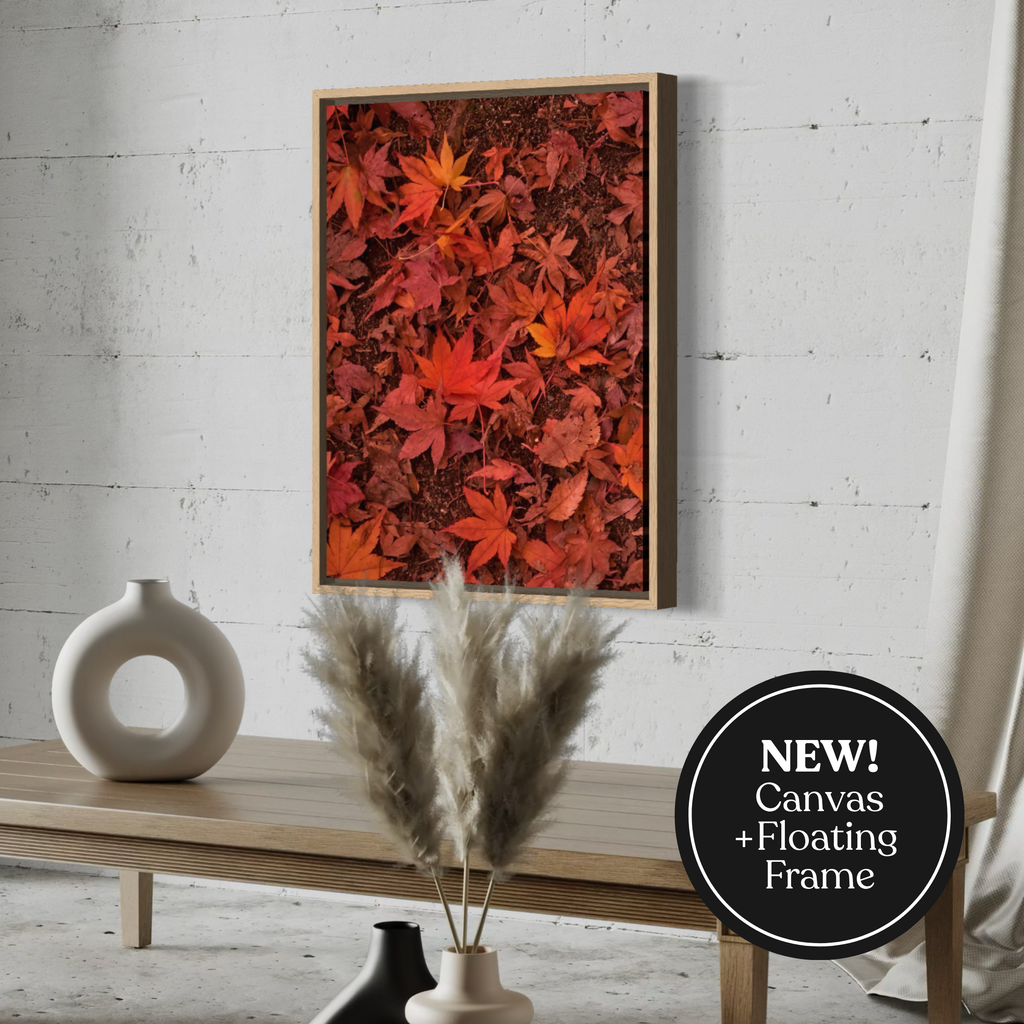 Vibrant Autumn Leaves