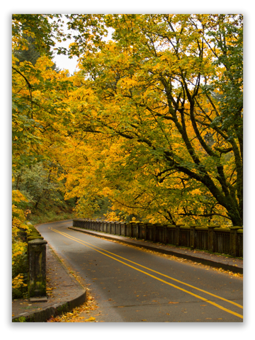 Early Fall Road Trip