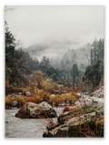 Serene Foggy Creekside