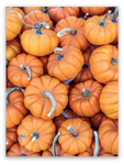 Pile of Pumpkins