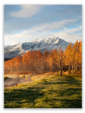 Autumn Sunrise in the Meadow