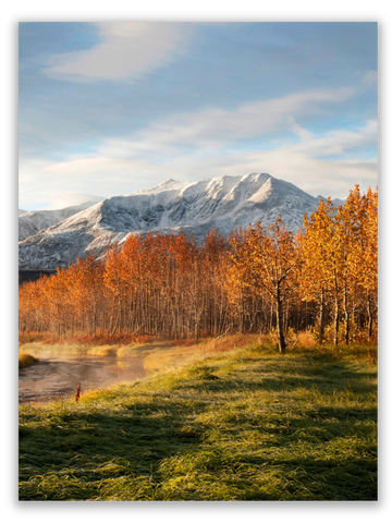 Autumn Sunrise in the Meadow