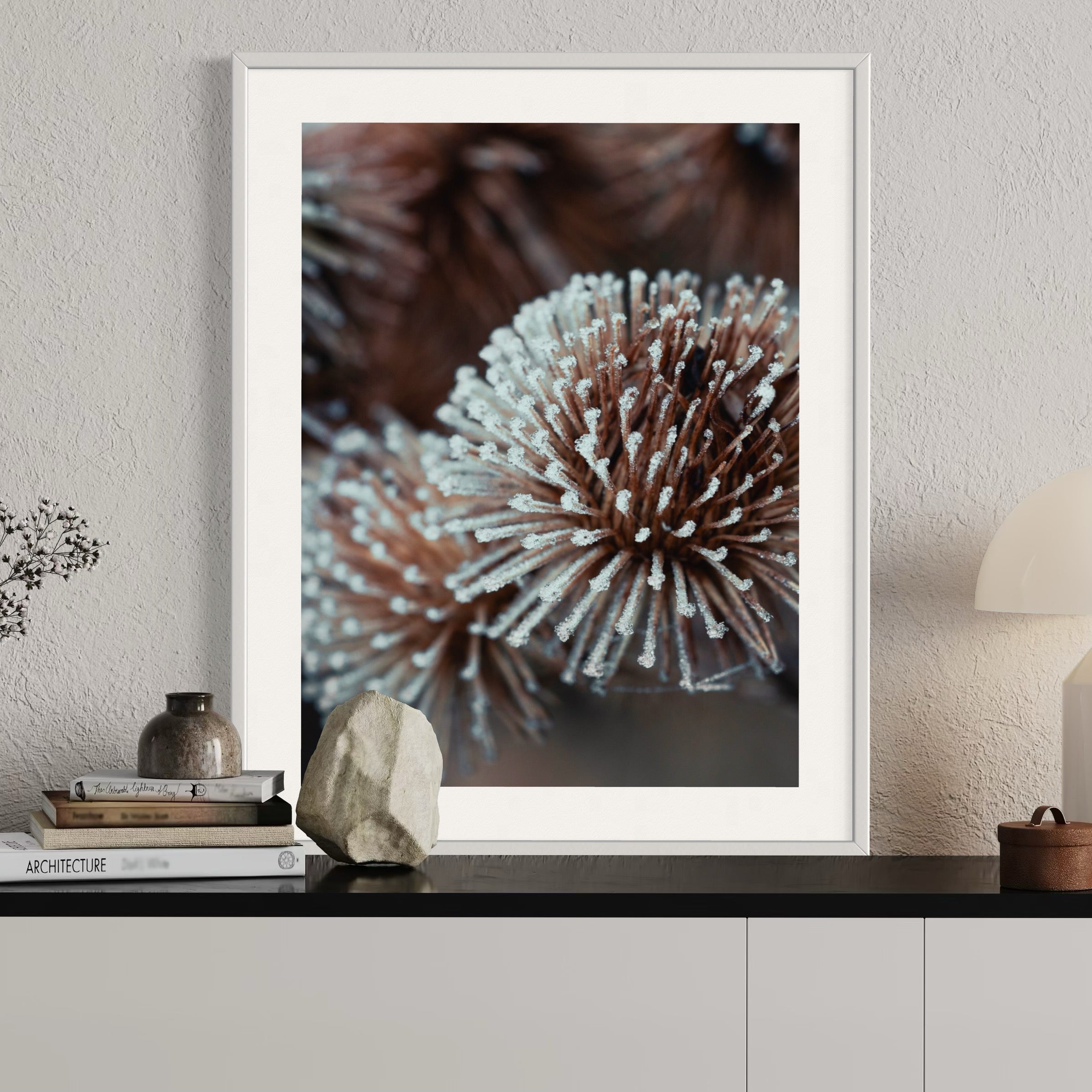 Dried Globe Thistle - Moderno Wall Art Wall Art