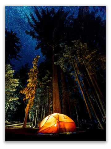 Camping in the Wilderness