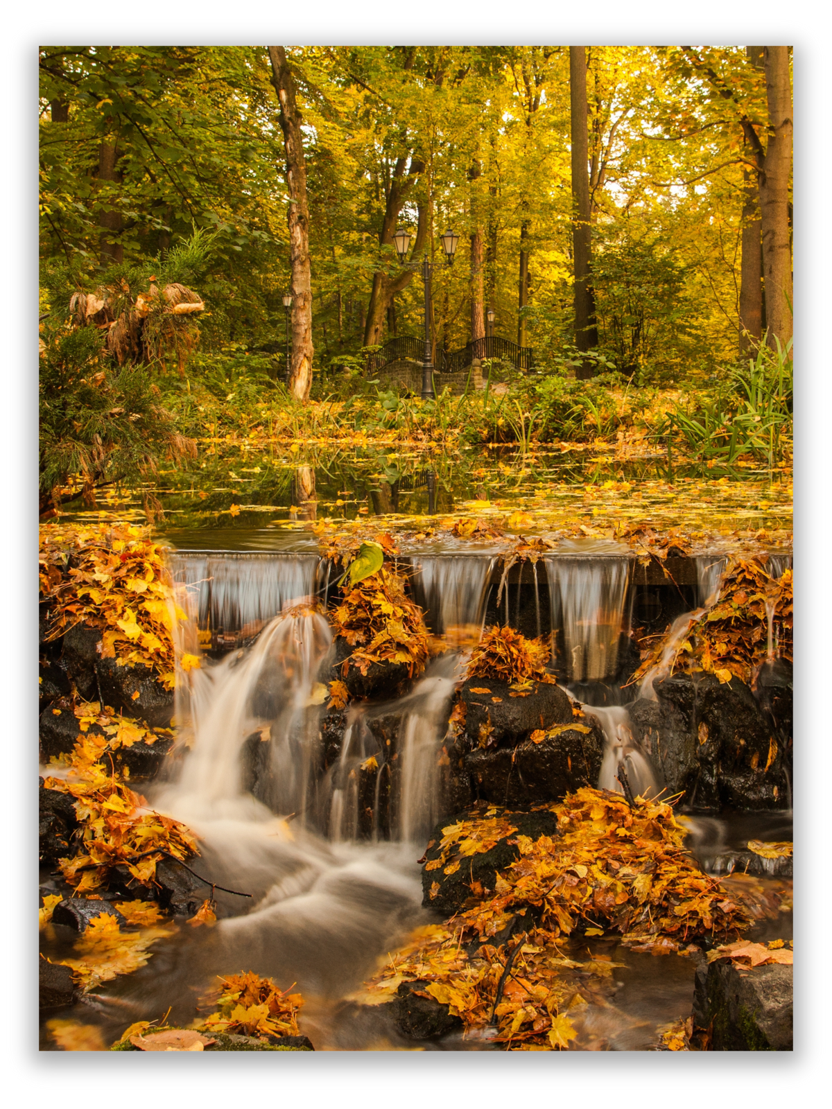 Douces eaux d'automne
