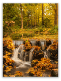 Gentle Autumn Waters