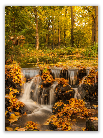 Gentle Autumn Waters