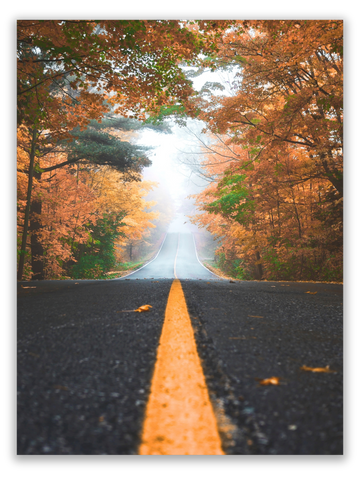 Road to Autumn