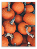 Seasonal Pumpkins