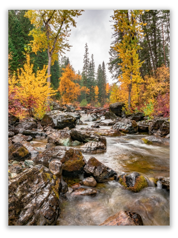 Colorful Creekside