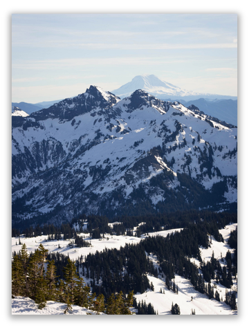 Evergreen Haven Below Snowy Peaks