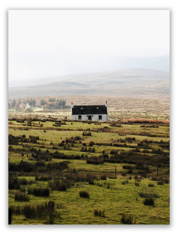 House on Misty Plains