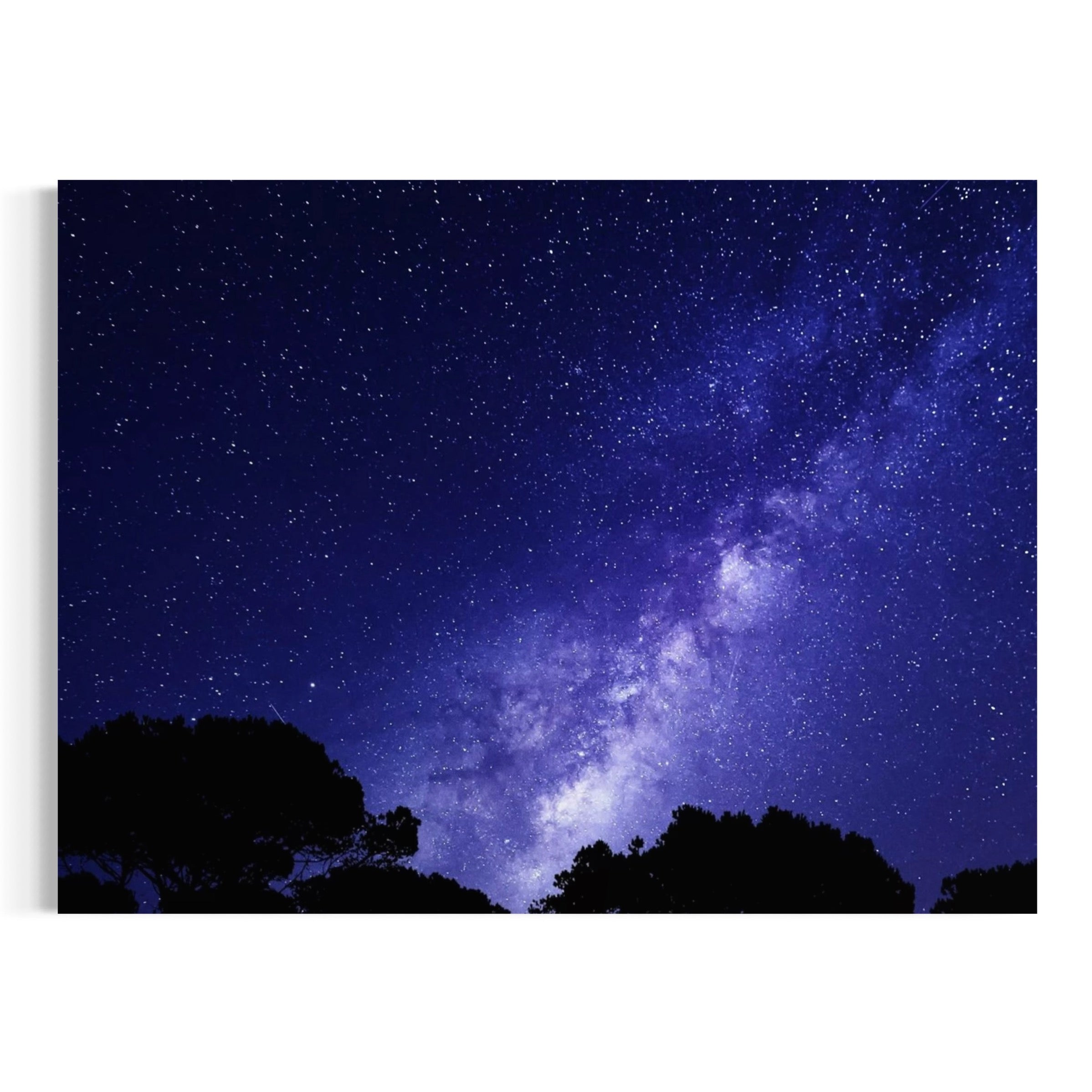 Starlit Wilderness - Moderno Wall Art Wall Art
