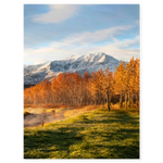 Autumn Sunrise in the Meadow
