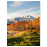 Autumn Sunrise in the Meadow