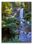 Rainforest Waterfall