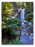 Rainforest Waterfall