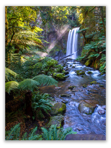 Rainforest Waterfall