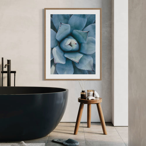 Macro Shot of Succulent - Moderno Wall Art Wall Art