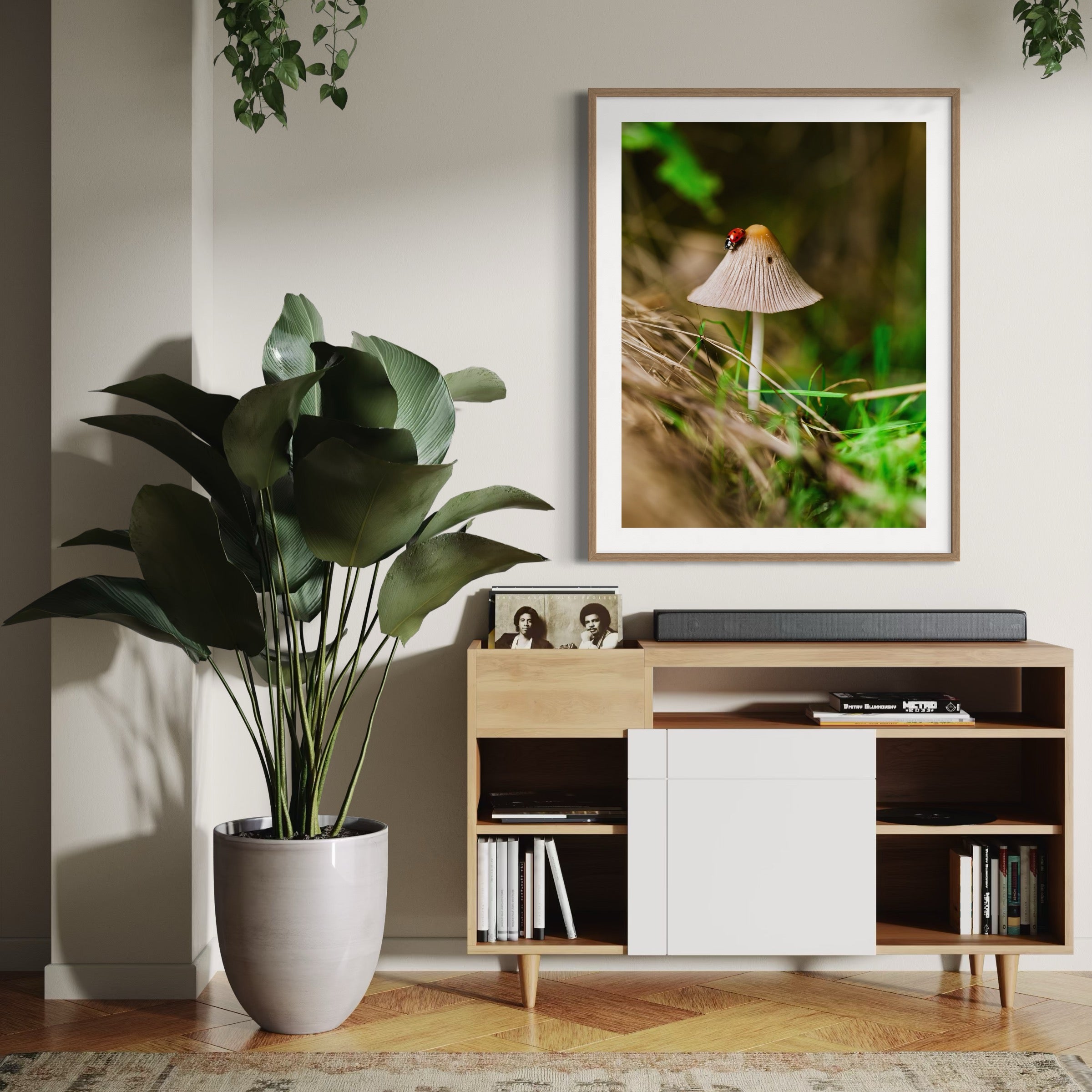 Tiny Traveler - Moderno Wall Art Wall Art