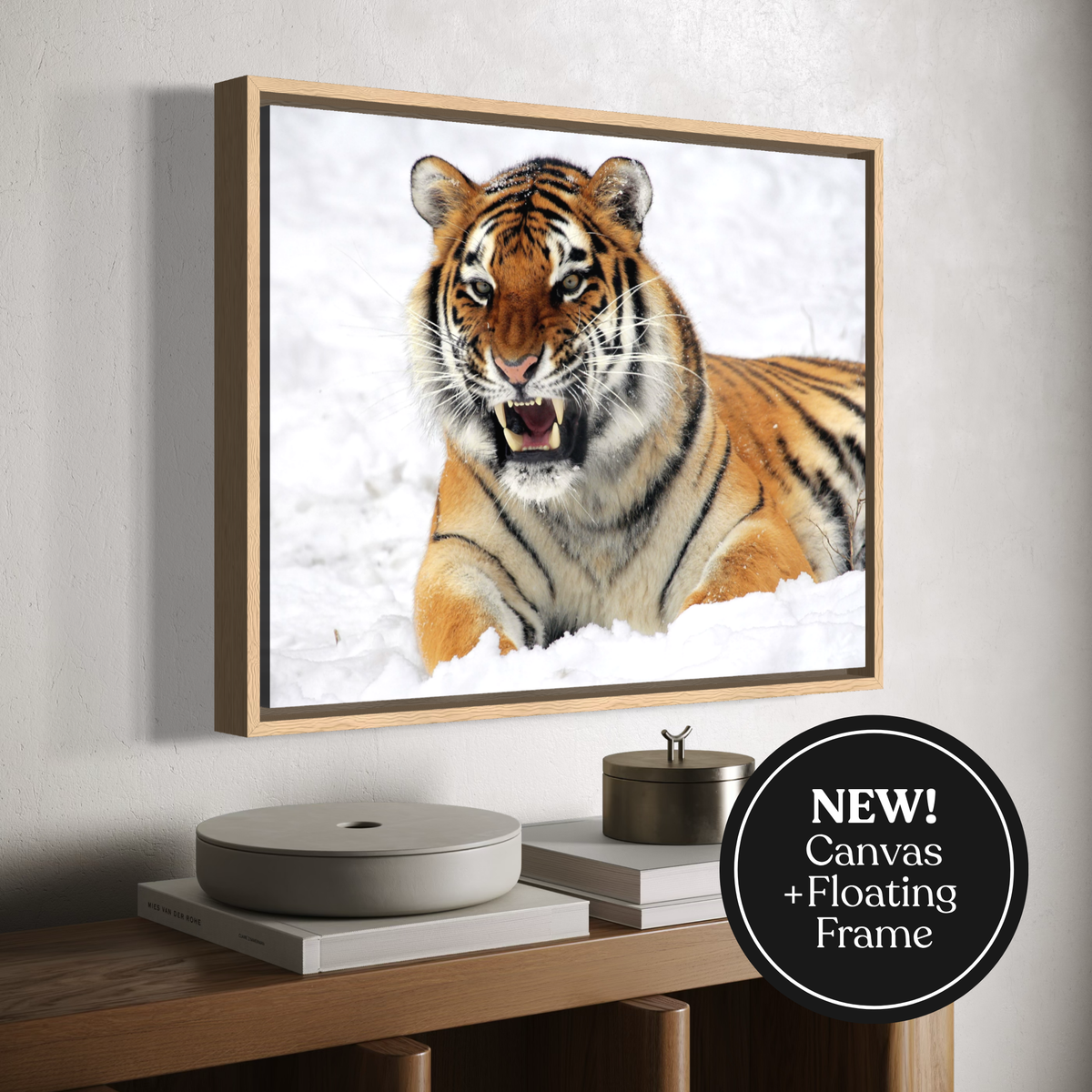 A floating framed canvas print of a roaring tiger in the snow, displayed on a wall above a wooden console table with books and decor. A black circular badge in the bottom right corner reads 'NEW! Canvas + Floating Frame'.