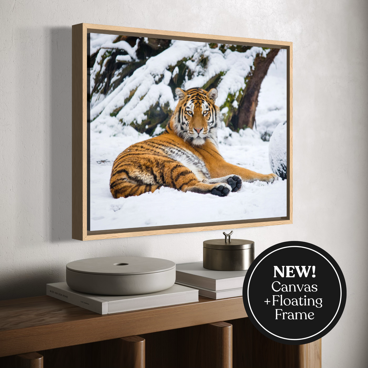 A wooden floating framed wall art print showing a tiger lying in a snowy outdoor scene, mounted on a light wall above a wooden console with decorative objects. A black circular badge in the lower right says 'NEW! Canvas + Floating Frame'.