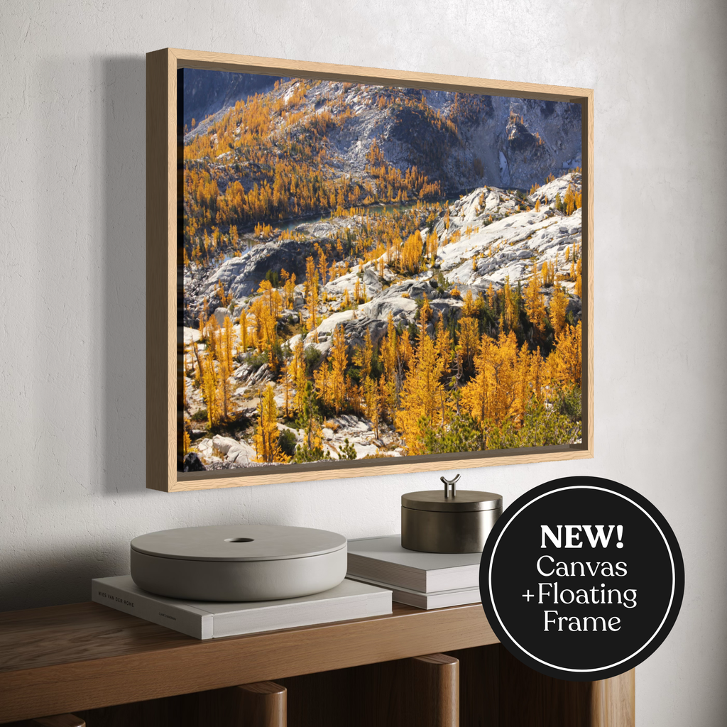 A wooden framed wall art print showing a mountain landscape with golden yellow larchwood trees and rocky slopes, displayed above a wooden console table. A black circular badge in the lower right corner reads 'NEW! Canvas + Floating Frame'.