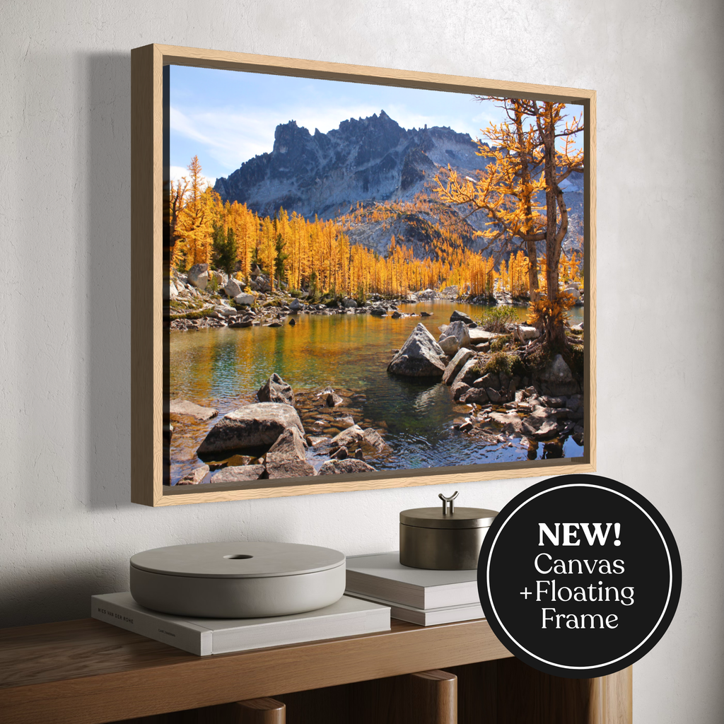 A framed canvas landscape wall art print showing a mountain, lake, and golden autumn trees, displayed on a wall above a console table. The print has a light wood floating frame, and a black circular badge in the lower right says 'NEW! Canvas + Floating Frame'.