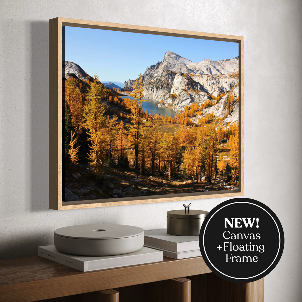 A wooden framed canvas landscape wall art print showing autumn mountains, golden trees, and a blue lake, displayed on a light wall above a wooden console. A black circular badge in the lower right says 'NEW! Canvas + Floating Frame'.