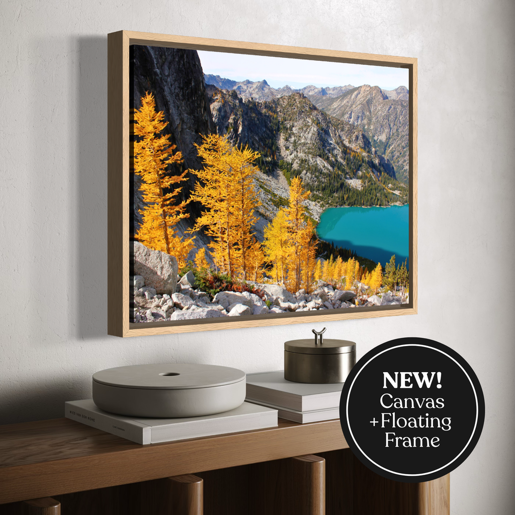 A framed canvas landscape wall art print hangs on a light gray wall above a wooden console table. The artwork shows golden-yellow larch trees, rocky mountains, and a turquoise lake.