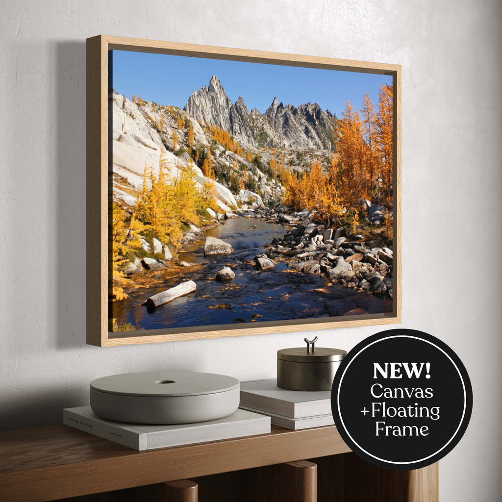 A framed canvas landscape art print depicting an autumn mountain stream with golden trees, displayed on a wall above a wooden console table. A black circular badge in the bottom right corner reads 'NEW! Canvas + Floating Frame'.